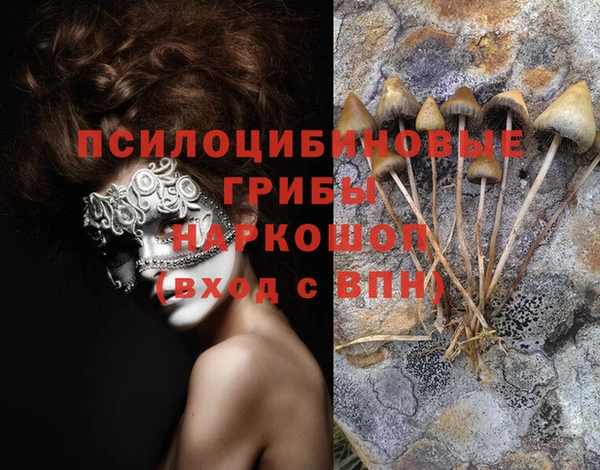 мет Краснослободск