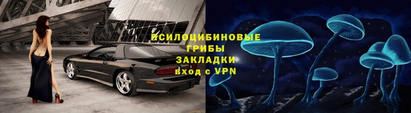 ГАЛЛЮЦИНОГЕННЫЕ ГРИБЫ Краснотурьинск