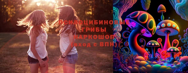 ГАЛЛЮЦИНОГЕННЫЕ ГРИБЫ Краснотурьинск