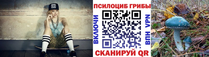 Галлюциногенные грибы GOLDEN TEACHER  Кимры 