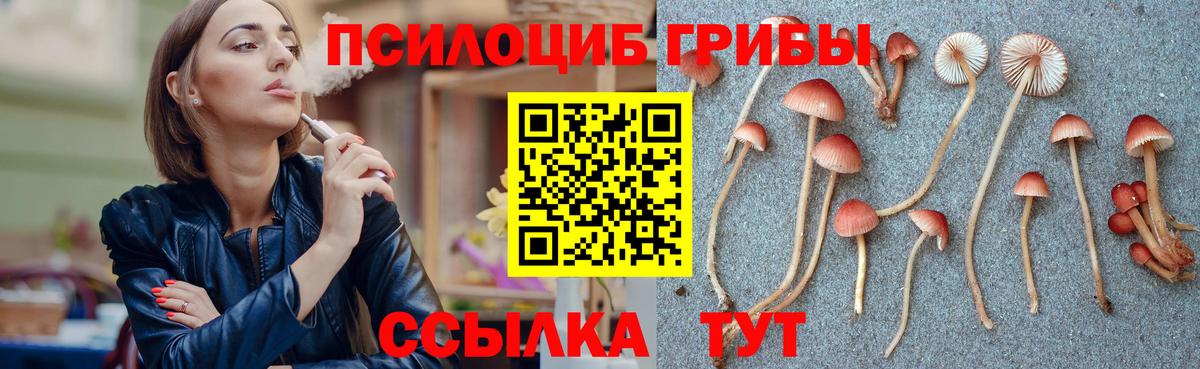 Галлюциногенные грибы GOLDEN TEACHER Кимры